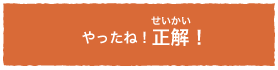 やったね！正解！